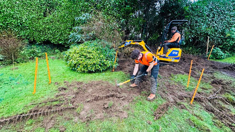 Bamboo Surveys Cornwall