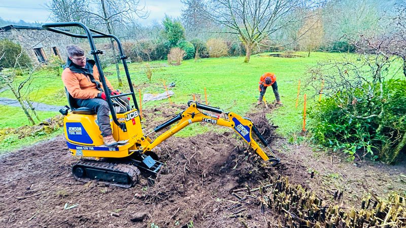 Cornwall Bamboo Removal