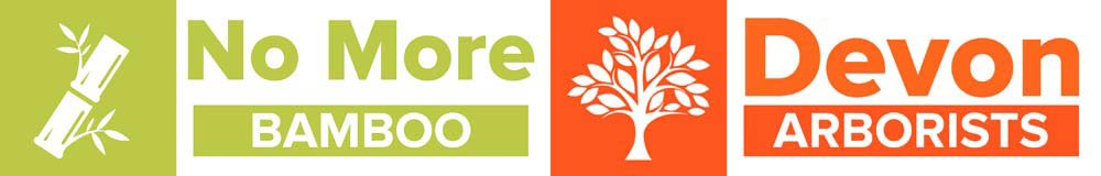 No More Bamboo Cornwall